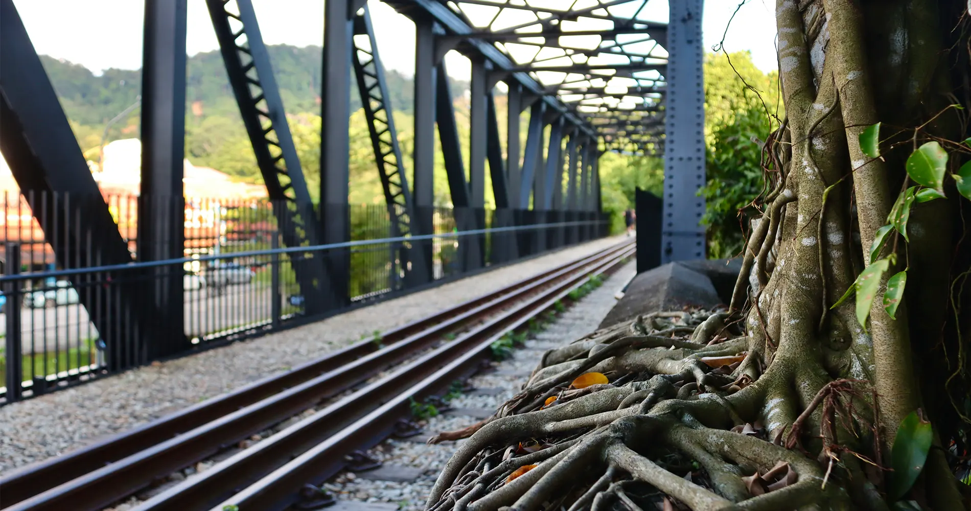 Bukit Timah Railway