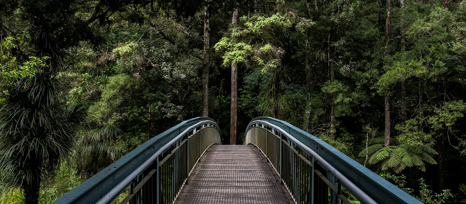 Nature Reserve