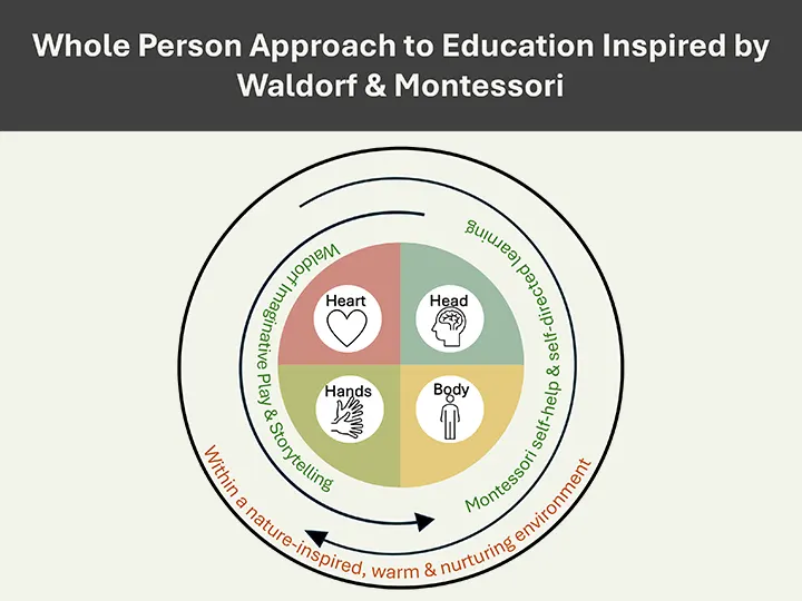 Whole Person Approach to Education Inspired by Waldorf & Montessori