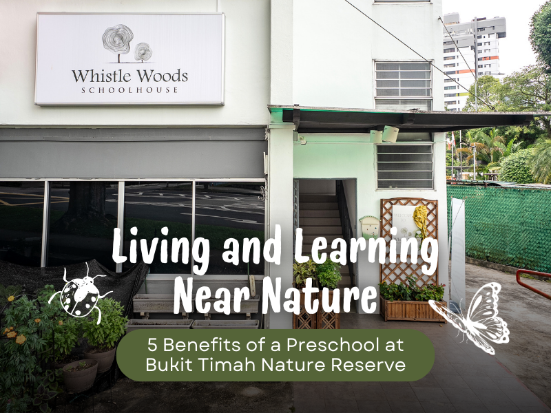 Living and Learning Near Nature: 5 Benefits of a Preschool at Bukit Timah Nature Reserve