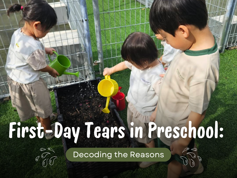 First-Day Tears in Preschool: Decoding the Reasons