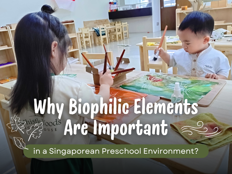 Why Biophilic Elements Are Important in a Singaporean Preschool Environment?