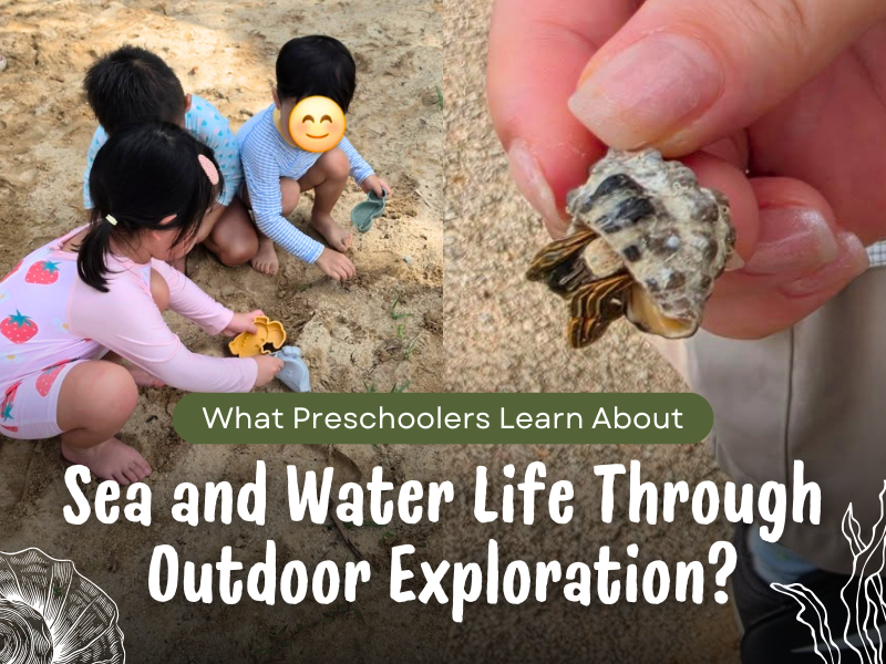 What Preschoolers Learn About Sea and Water Life Through Outdoor Exploration
