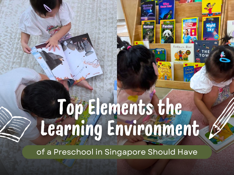 Top Elements the Learning Environment of a Preschool in Singapore Should Have